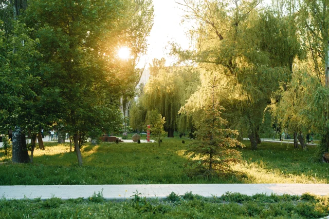 park-anicka.webp (98 KB)